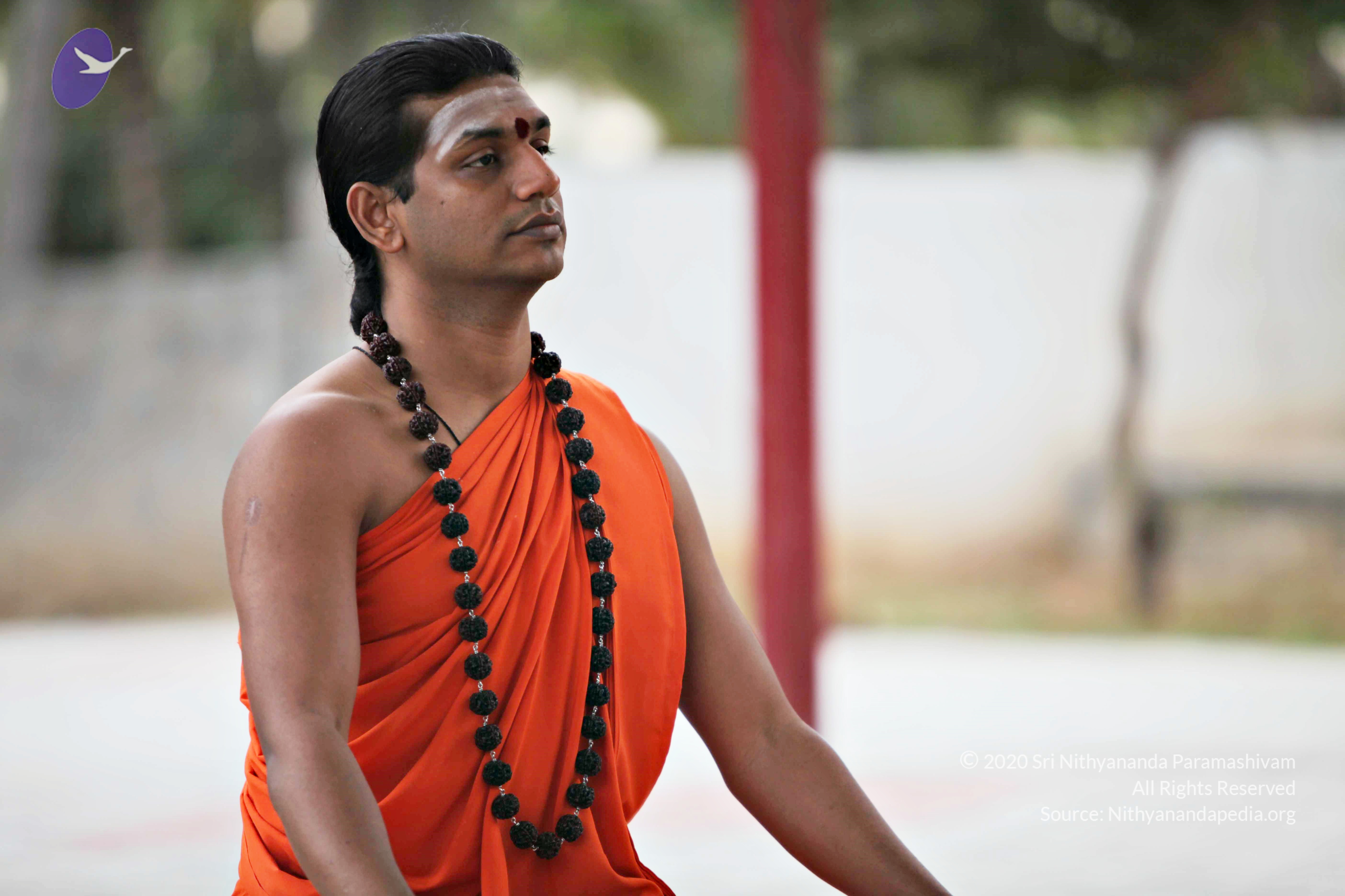 20110225_Photo_1072_IMG_0822_CMP_WM